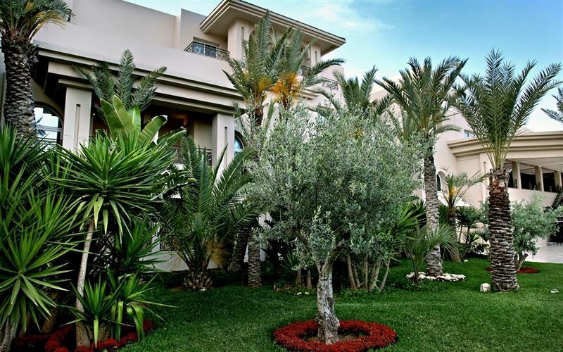 Изображение The Russelior 5*