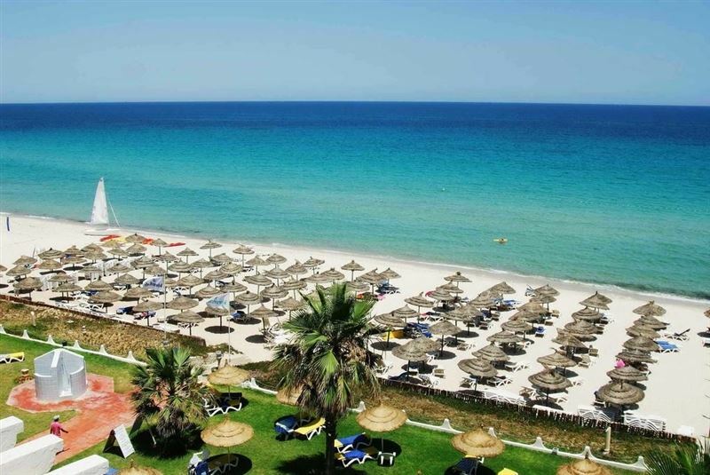 Изображение Novostar Palmyra 3*