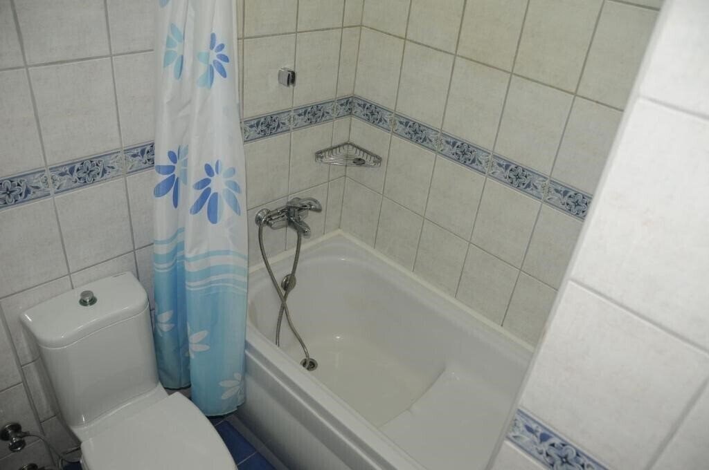 Фото Alin Hotel 3*