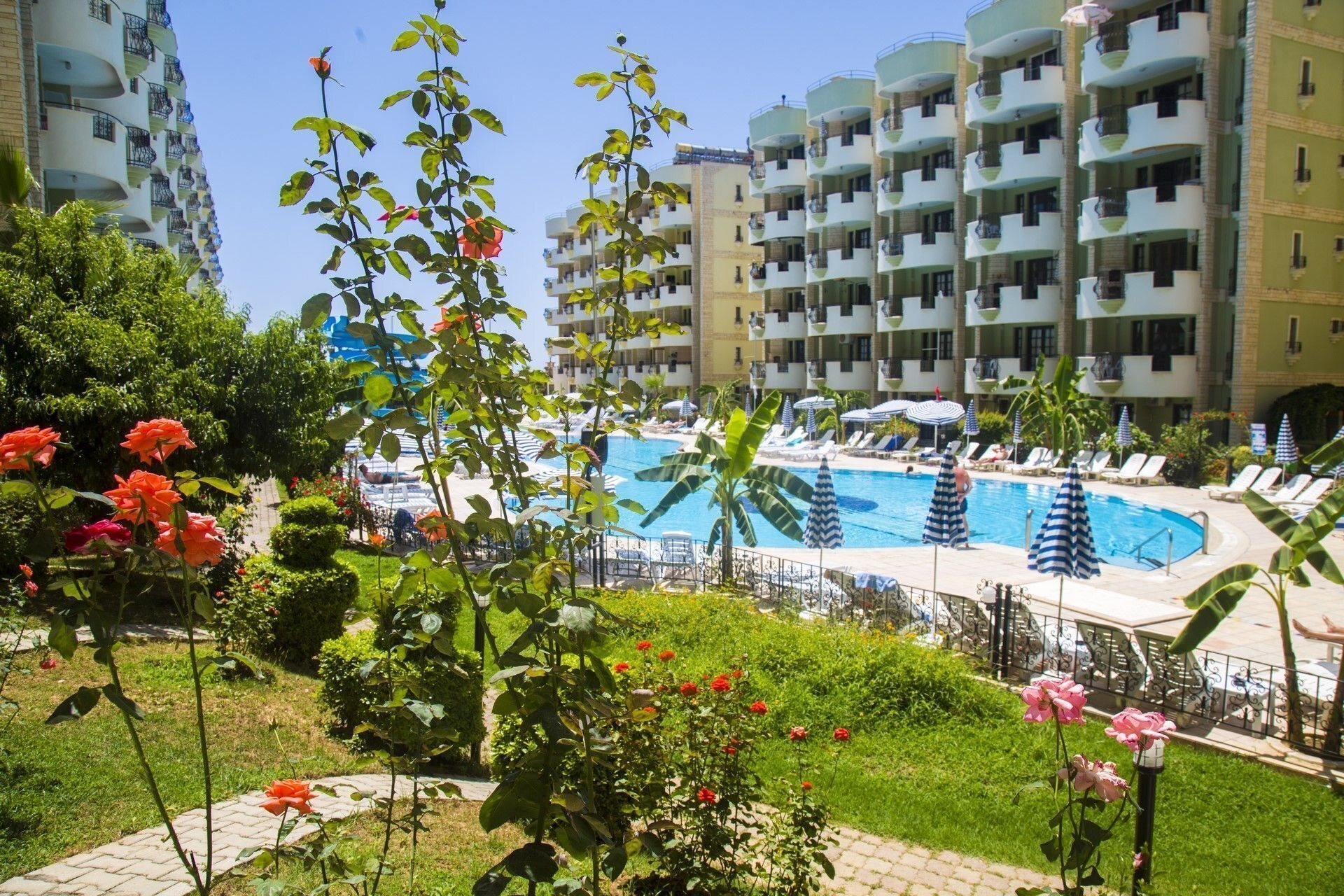 Фотография May Garden Club Hotel 4*