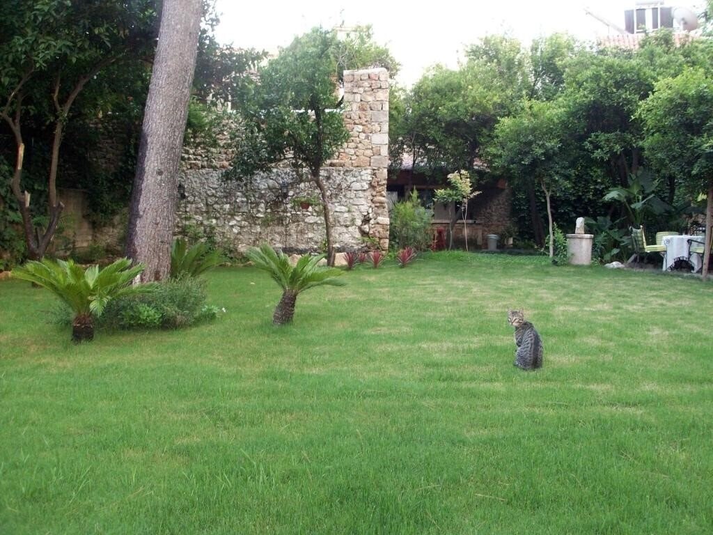 Изображение The Ninova 3*