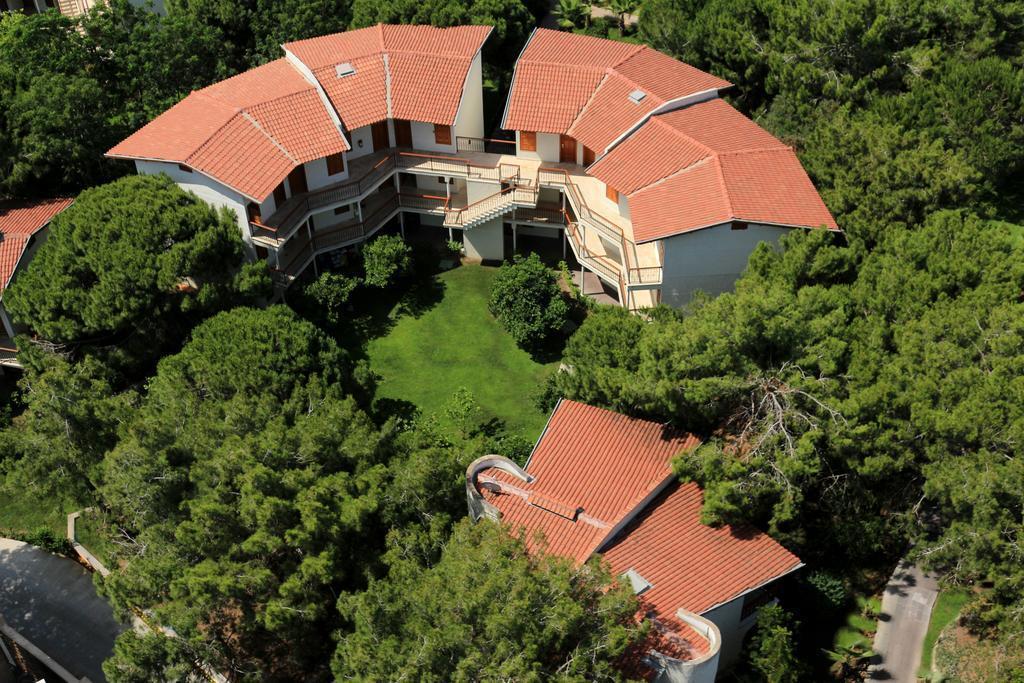 Изображение Papillon Belvil 5*