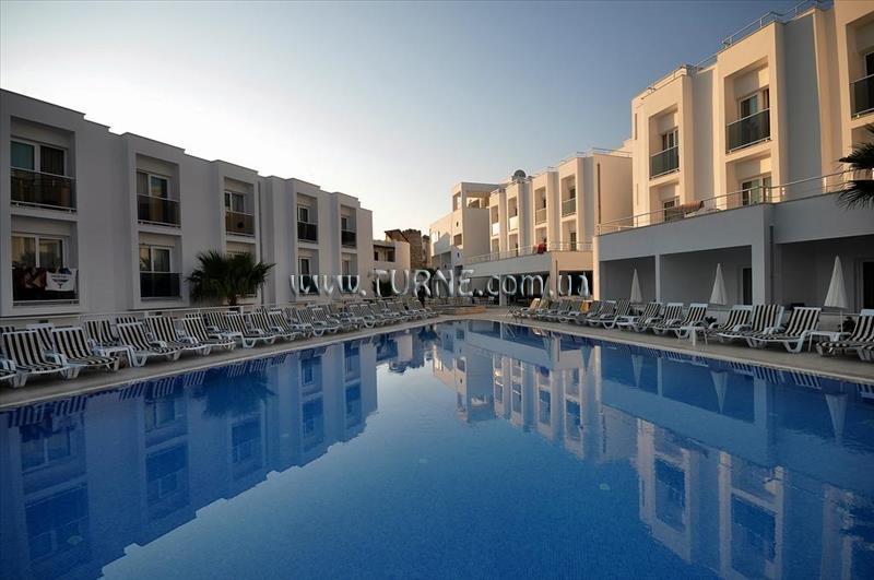 Отель Club Shark Hotel 4*