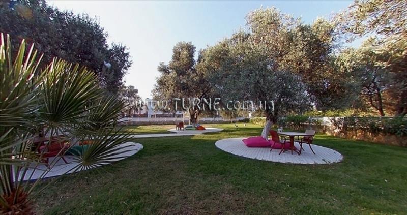 Картинка Club Alisya 3*