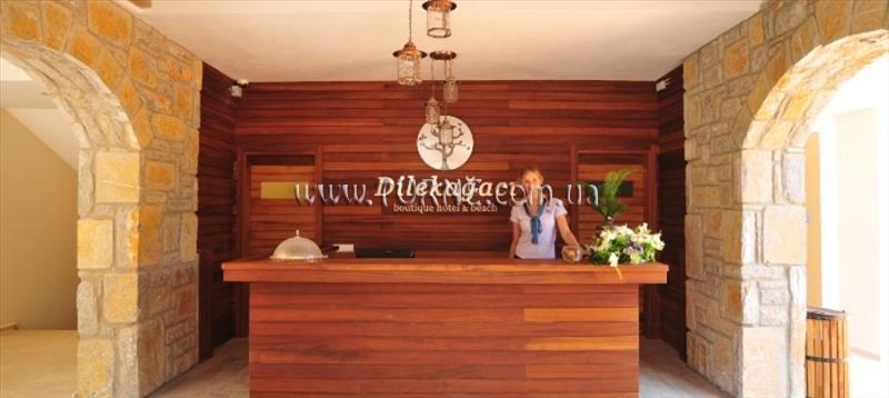 Отель Dilek Agaci Boutique Hotel & Beach 3*