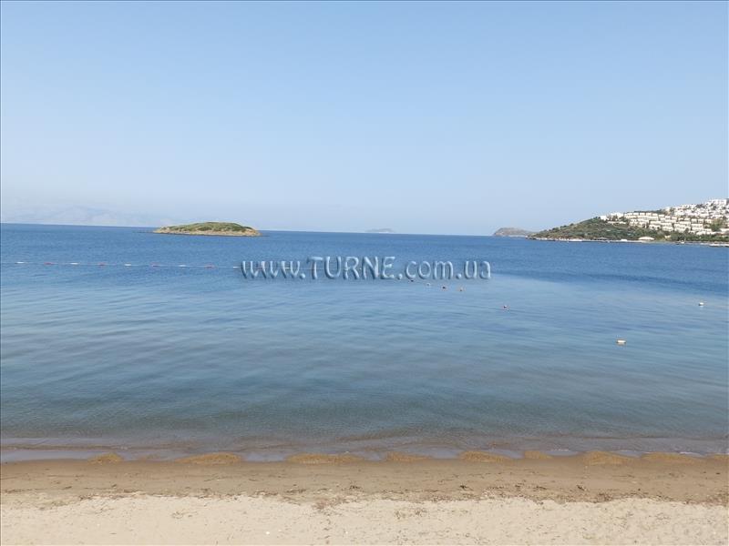 Изображение Club Blue White 4*