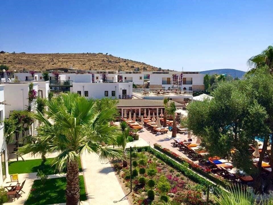 Отель Anadolu Hotel 4*