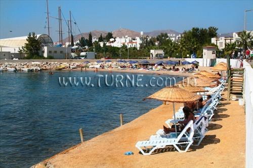 Отель Alta Beach Hotel 3*