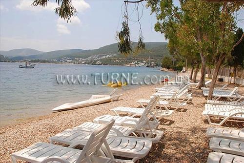 Отель Caliente Bodrum Resort 4*
