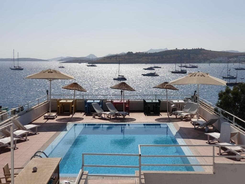 Отель Angora Hotel 3*