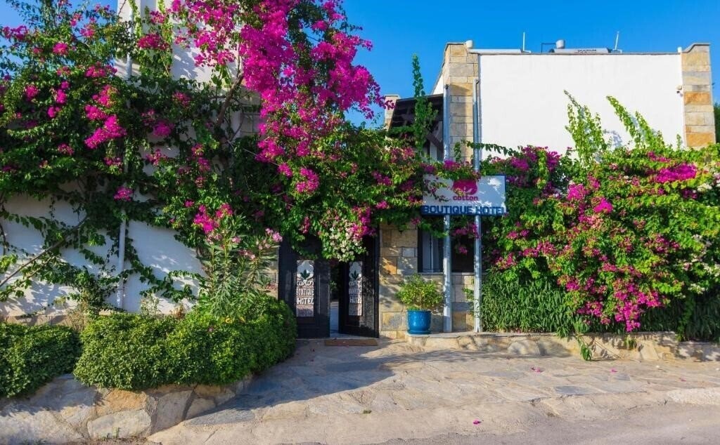 Картинка Cotton Boutique Hotel 3*