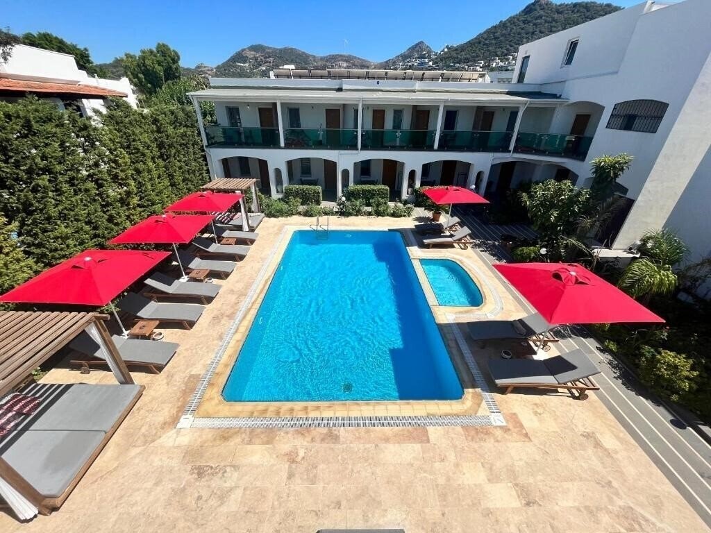 Изображение The Losh 4*