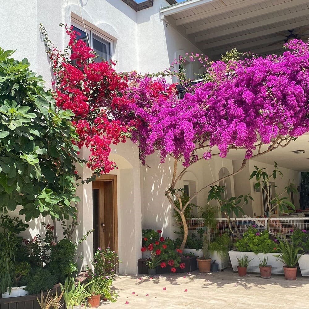 Картинка Karayel Apart Hotel 3*