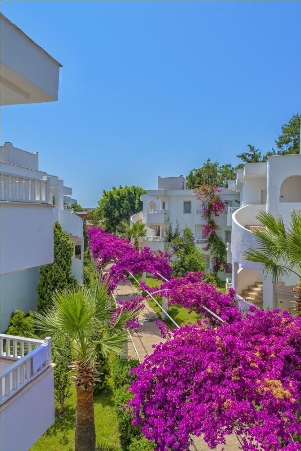 Изображение Bendis Beach (ex. Tansel) 4*