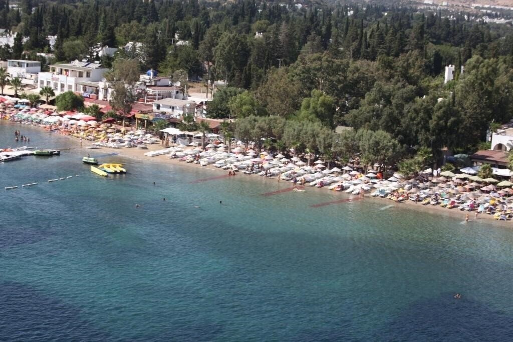 Картинка Okaliptus 4*