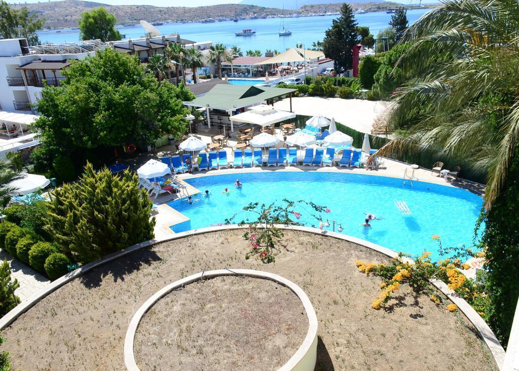 Фотография Royal Palm Beach 3*