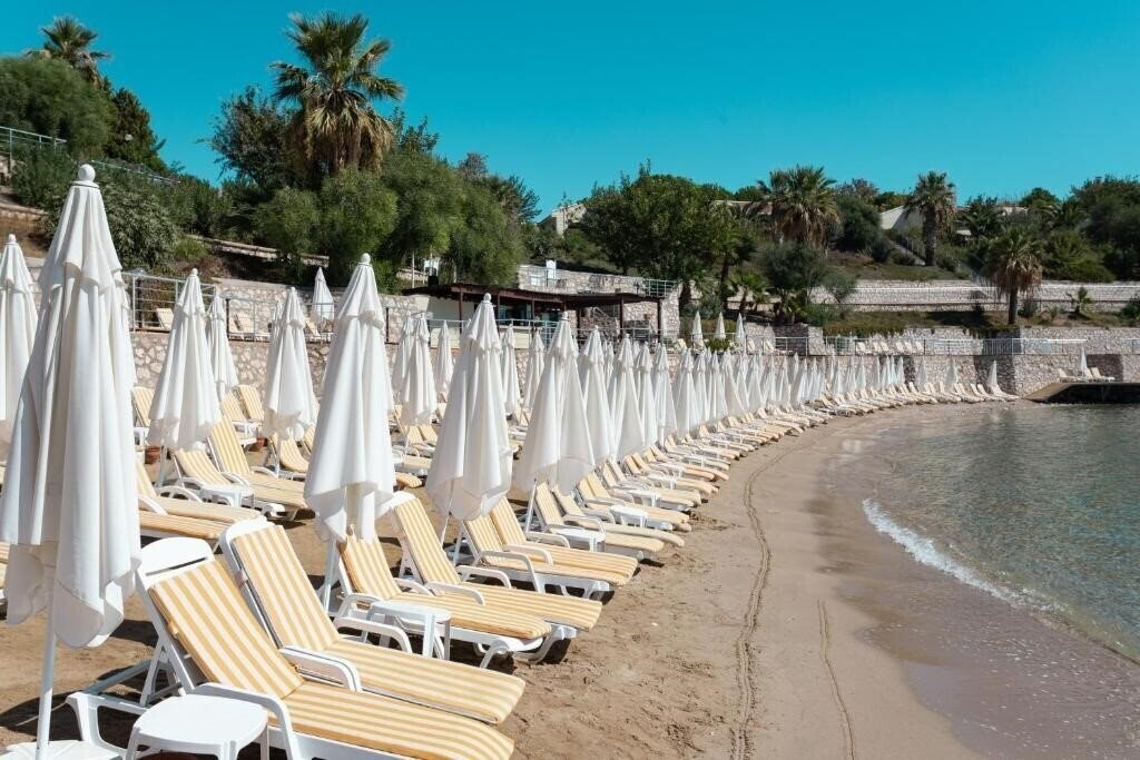 Изображение Anadolu Hotels Didim Club (ex. Palm Wings Beach Resort, Adrina Beach Resort) 5*