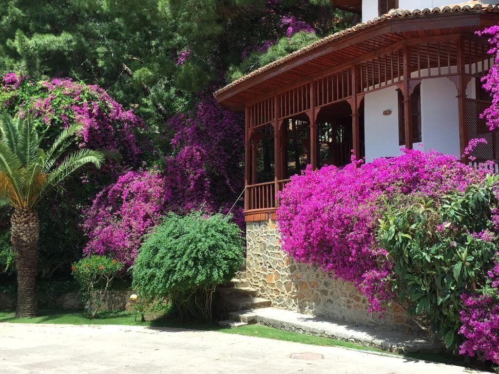 Изображение Club & Hotel Letoonia 5*