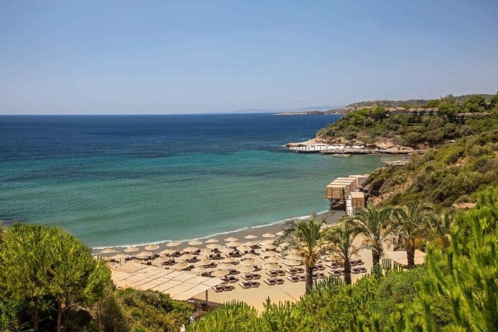 Изображение Club Marvy A Trademark Of Paloma 5*