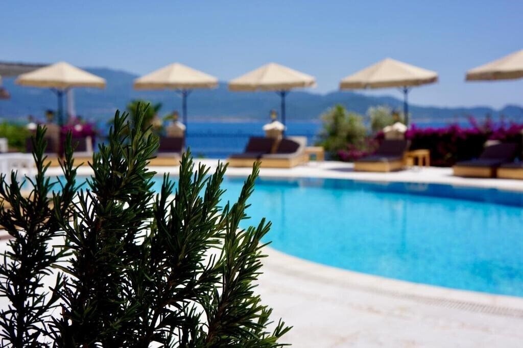 Изображение Villa Hotel Tamara 4*