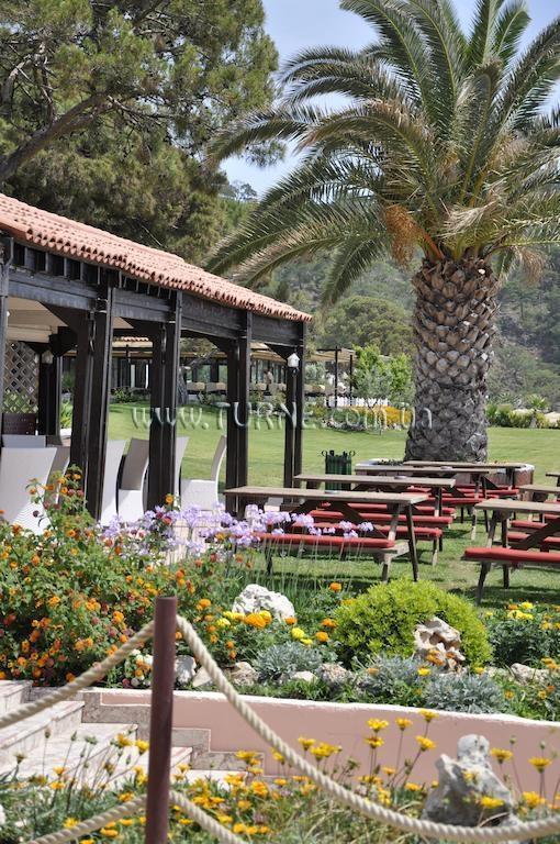 Картинка Jeans Club Hotels Saphire 5*