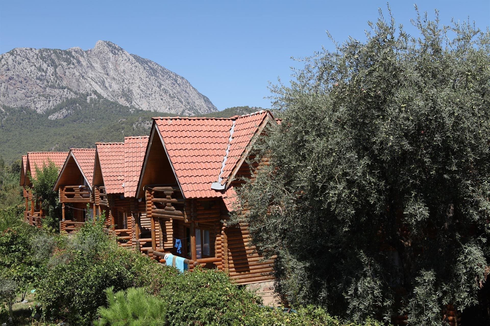 Фотография Woodline Hotel 3*