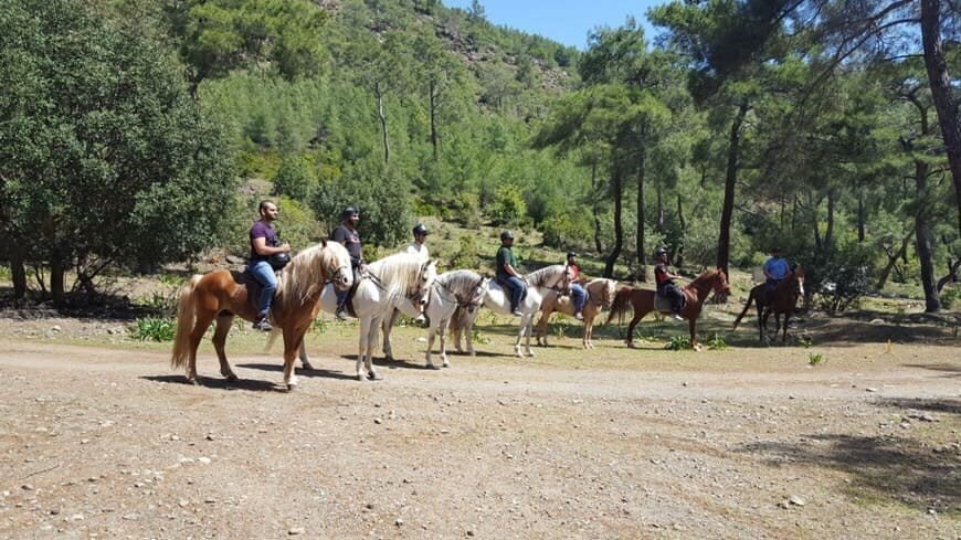 Изображение Oranj Ranch Hotel 3*