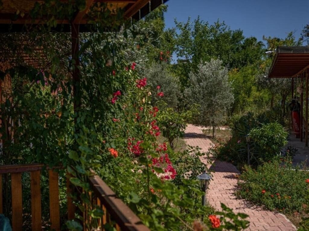 Изображение Felicity Hotel & Bungalows 3*