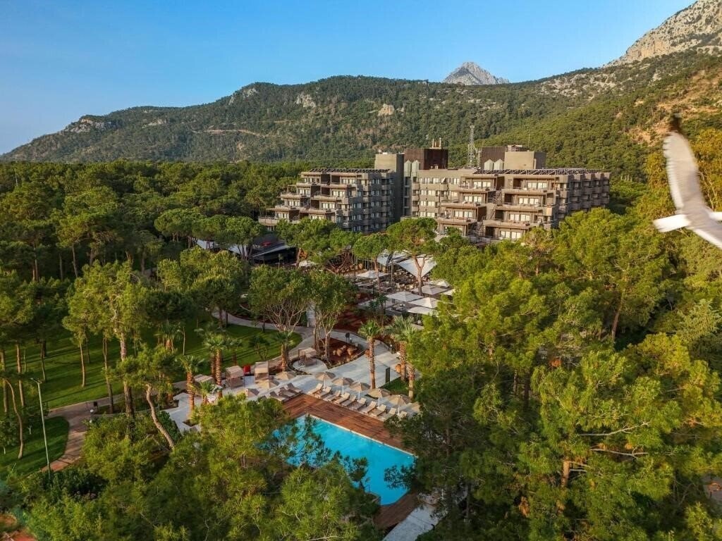 Отель Balmy Foresta 5*