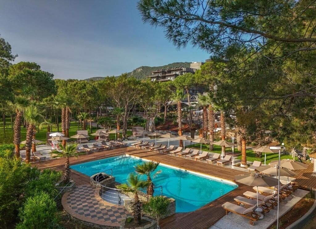 Картинка Balmy Foresta 5*
