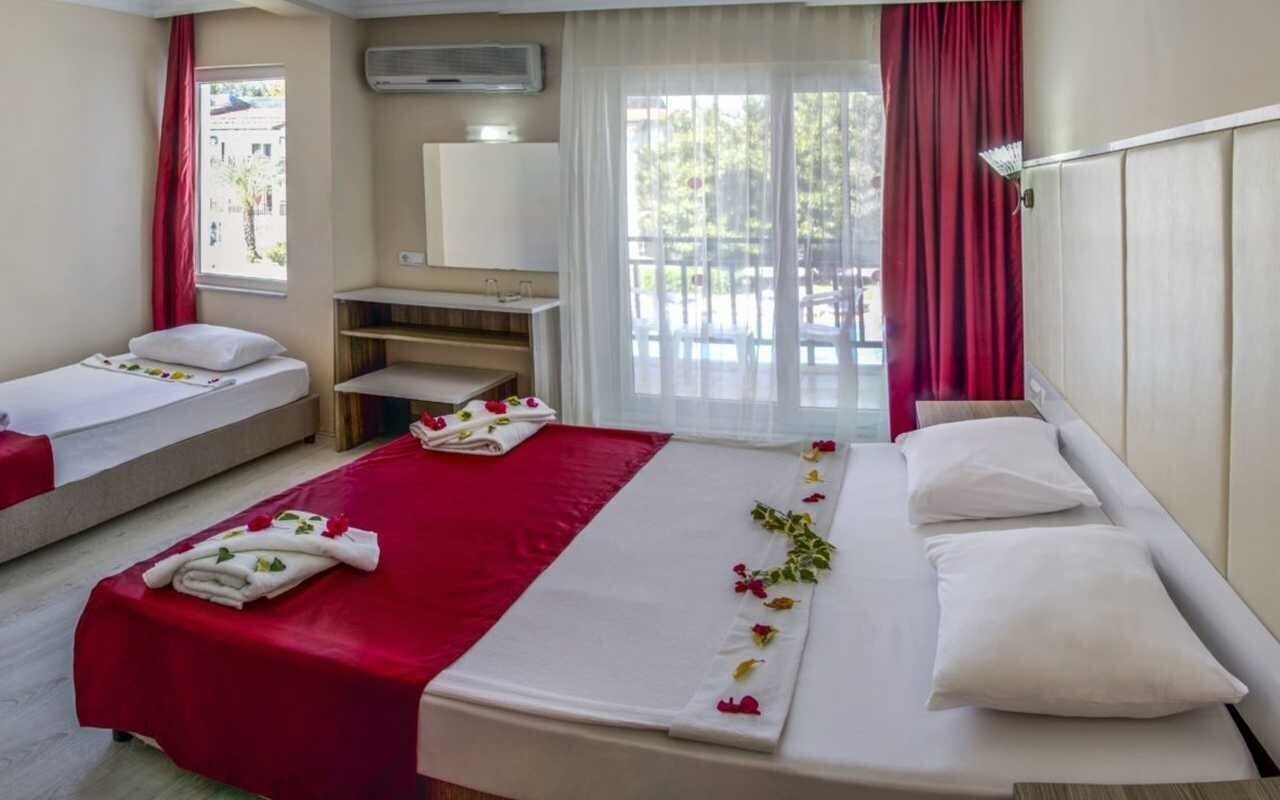 Фотография Ganita Seymour Hv1 HV-1