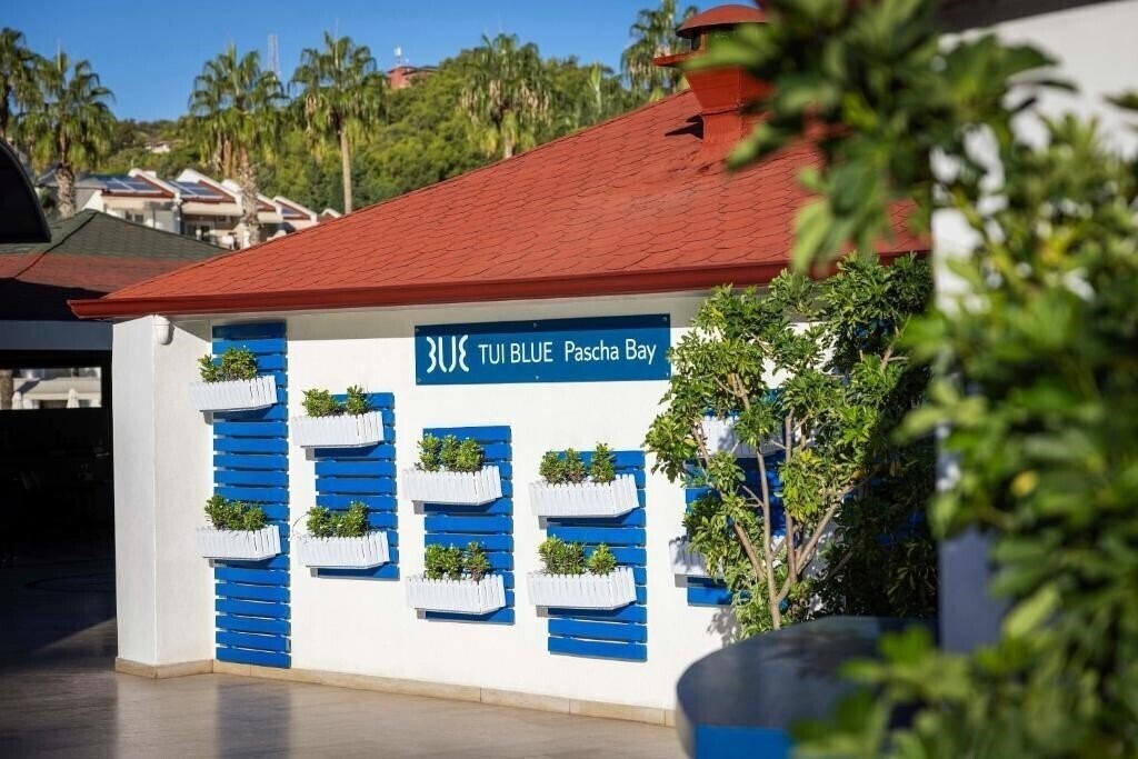 Изображение Tui Blue Pascha Bay 3*