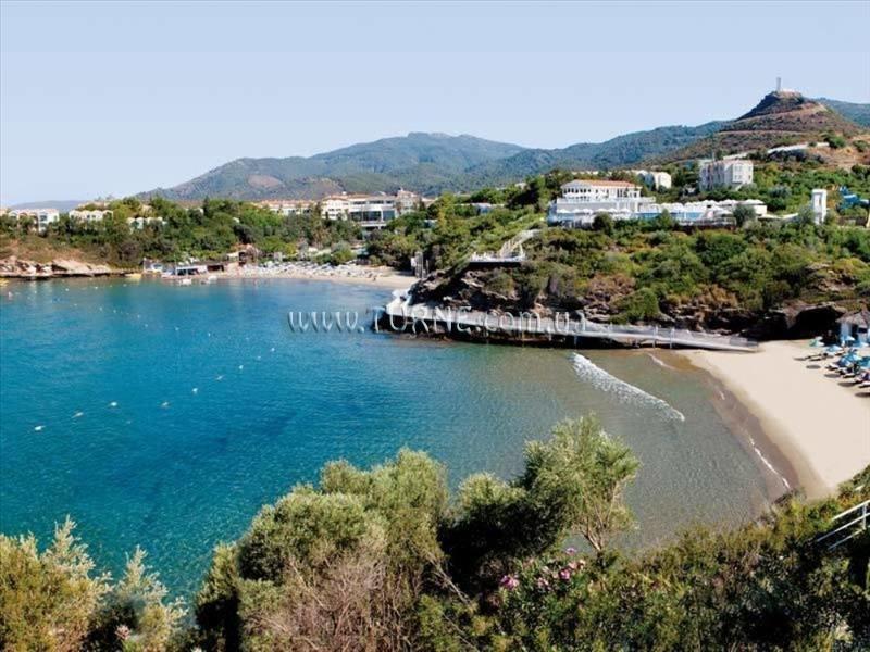 Отель Paloma Club Sultan 5*