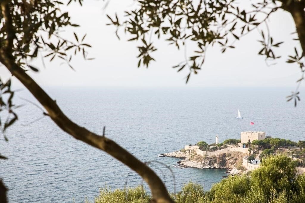 Фотография Neopol Hotel Special Class 3*