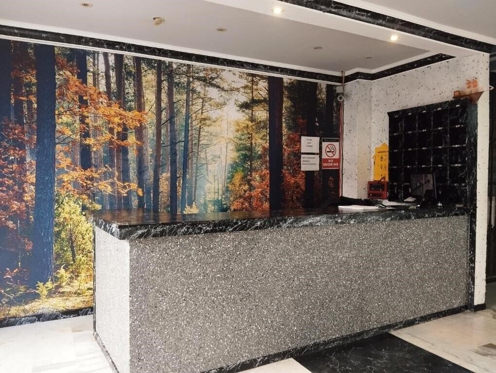 Отель Nes Class Hotel 2*