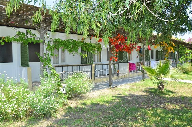 Фотография Club Serena Beach 4*