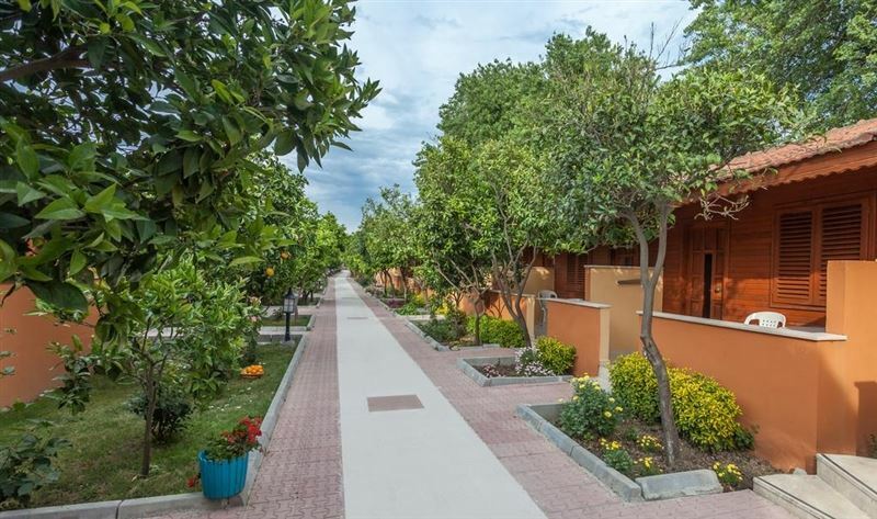 Изображение Ozlem Garden Hotel 3*