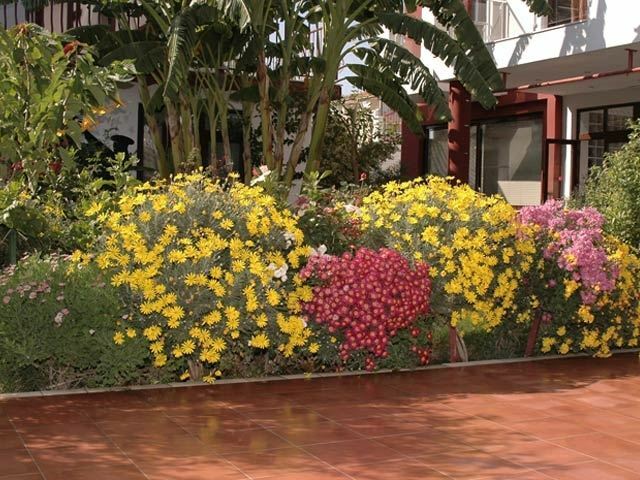 Картинка Side Elis Hotel 3*