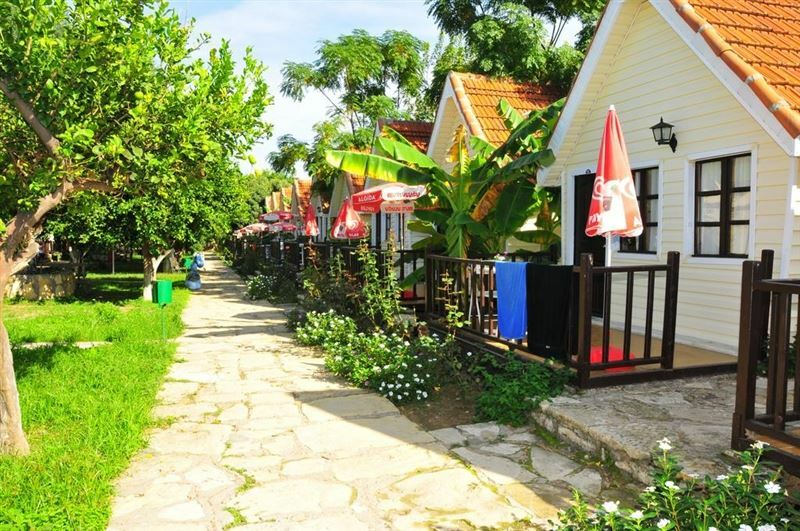 Картинка Clover Magic Nova Beach Hotel 3*