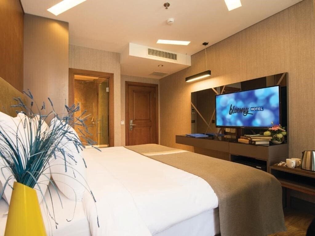 Фотография Blueway Hotel Historical 4*