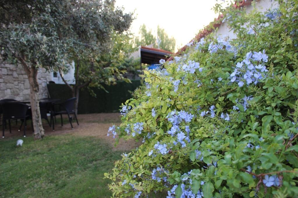 Картинка Mina Hotel 3*