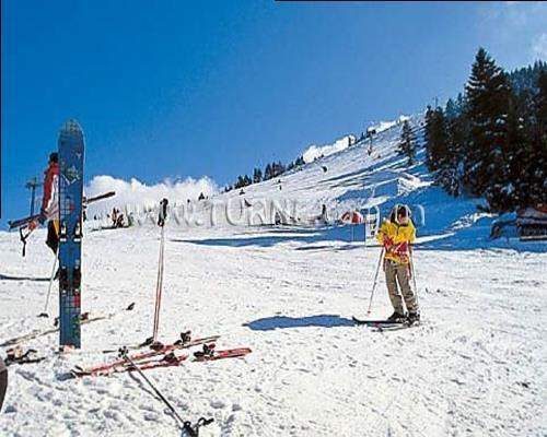 Фото Alcoclar Sport Hotel 3*