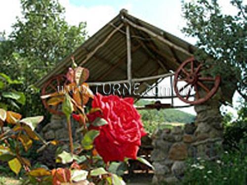 Фотография Аллюр отель без категории