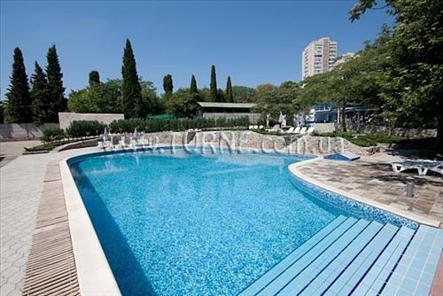 Картинка Чайка ТОК