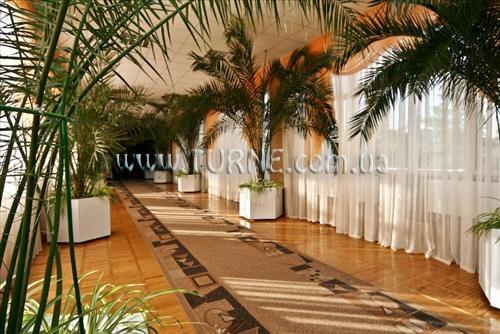 Фотография Березовый Гай санаторий