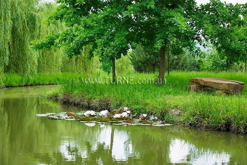 Картинка Трембита Ок оздоровительный комплекс