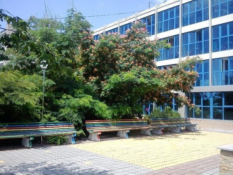 Отель Ивушка 2*