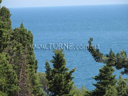 Отель Дача Курчатова санаторий