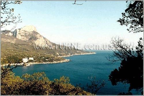 Отель Дельфин база отдыха