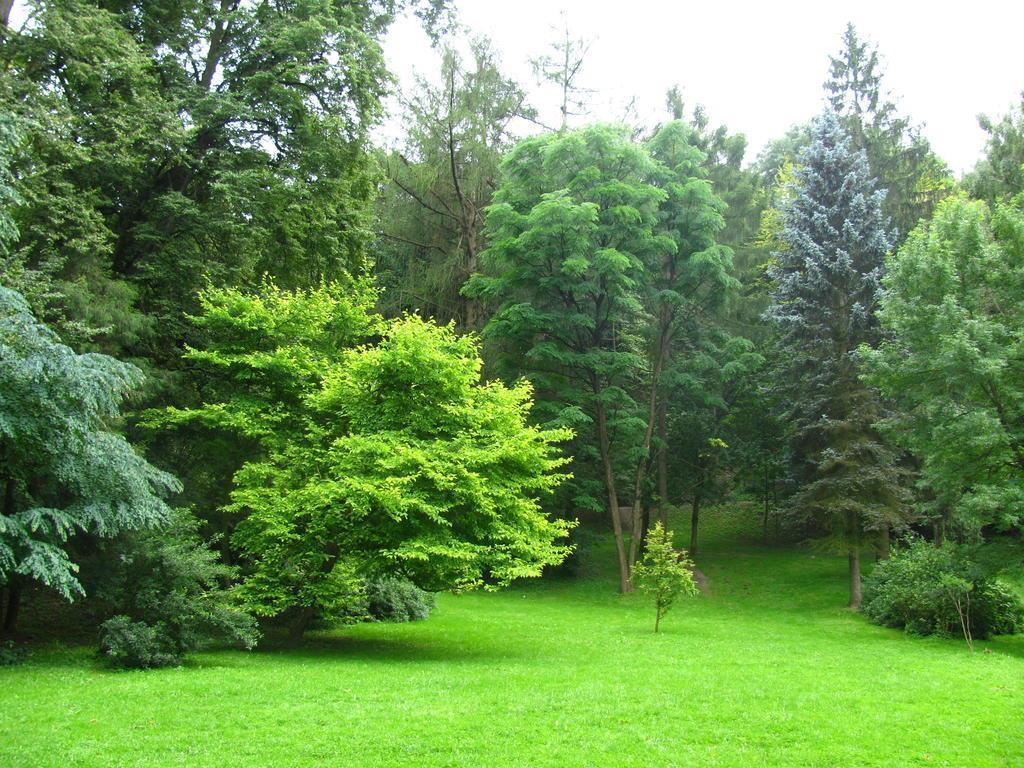 Изображение Delice 4*